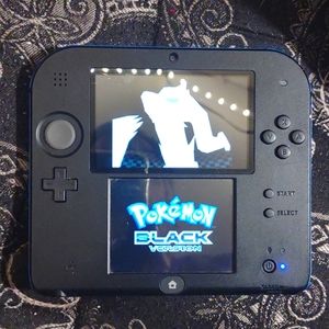 Nintendo 2DS Black with Blue border.